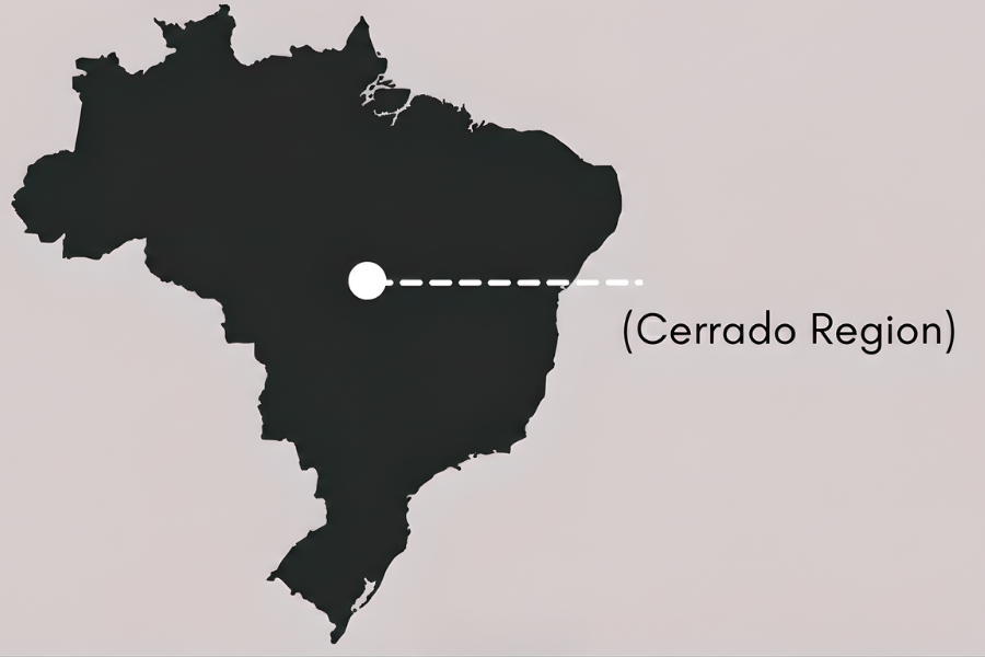 Pôvod a charakteristika kávy z Brazílie